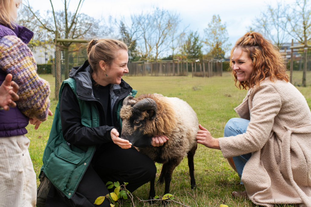 UBO_Mitarbeiter_und_junge_Frau_mit_Schaf